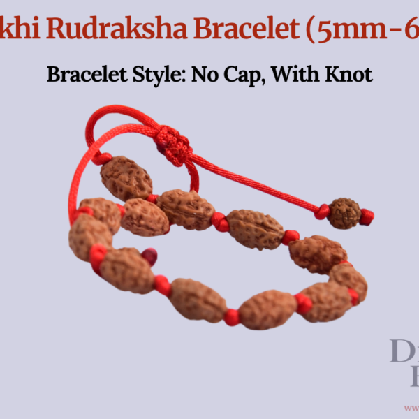 2 Mukhi Rudraksha Bracelet (5mm-6mm), Handmade with care