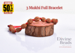 3 Mukhi Rudraksha Bracelet (5mm-6mm), Handmade with care
