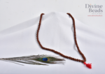 5 Mukhi Rudraksha Mala with 108+1 Guru Bead - Image 6