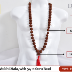 5 Mukhi Rudraksha Mala with 54+1 Guru Bead