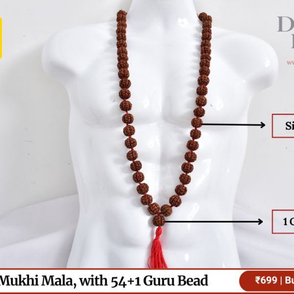 5 Mukhi Rudraksha Mala with 54+1 Guru Bead