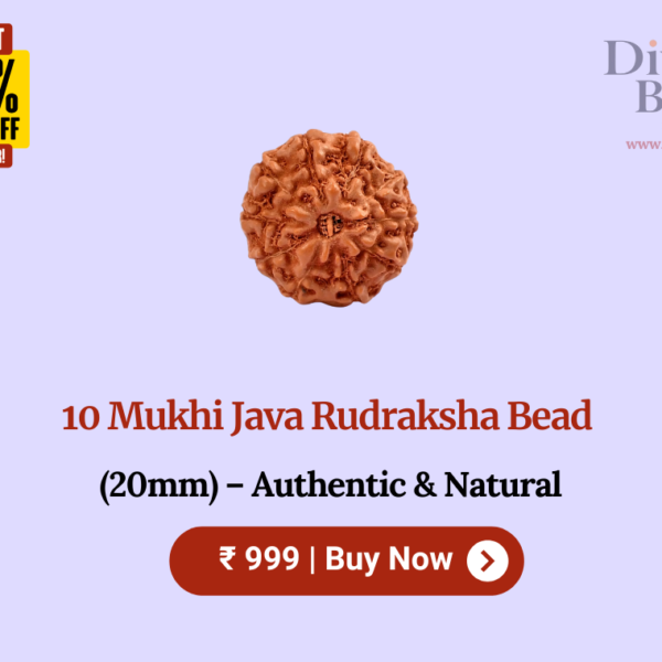 10 Mukhi Java Rudraksha Bead (20mm) – Authentic & Natural