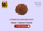 11 Mukhi Java Rudraksha Bead (20mm) – Authentic & Natural