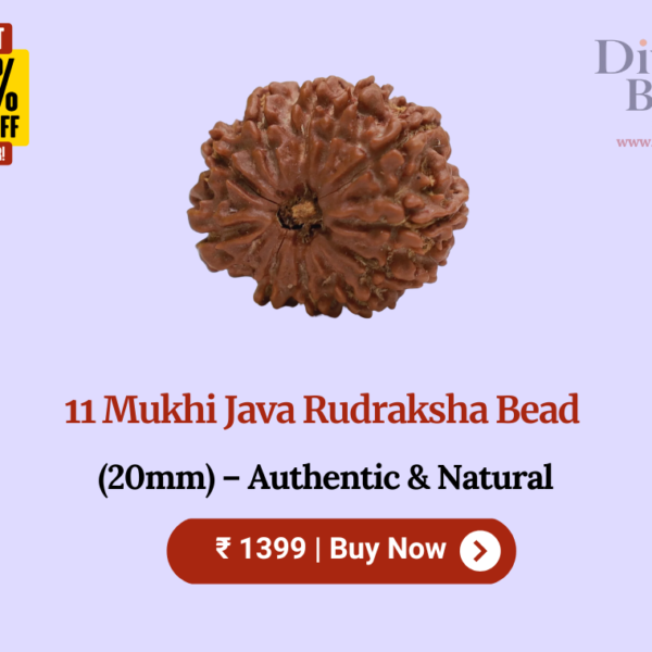 11 Mukhi Java Rudraksha Bead (20mm) – Authentic & Natural