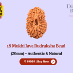 18 Mukhi Java Rudraksha Bead (20mm) – Authentic & Natural