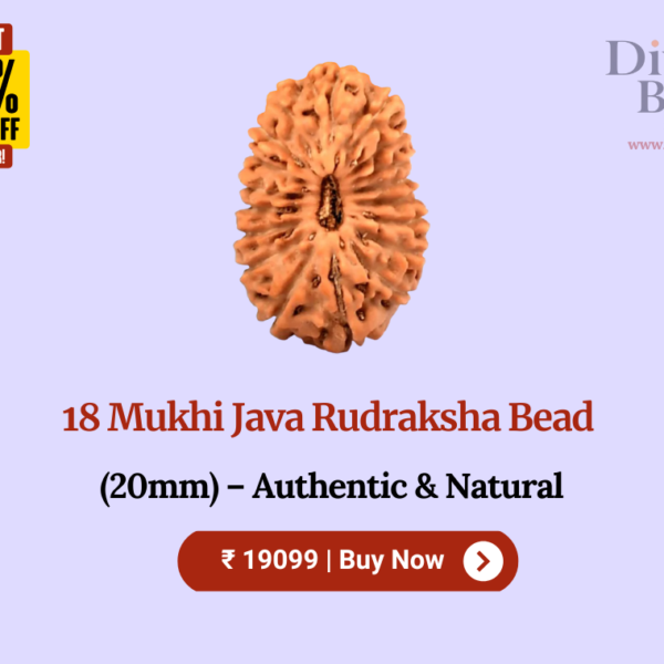 18 Mukhi Java Rudraksha Bead (20mm) – Authentic & Natural