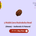 3 Mukhi Java Rudraksha Bead (14mm) – Authentic & Natural