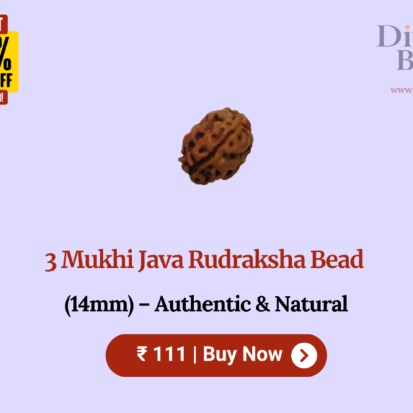 3 Mukhi Java Rudraksha Bead (14mm) – Authentic & Natural