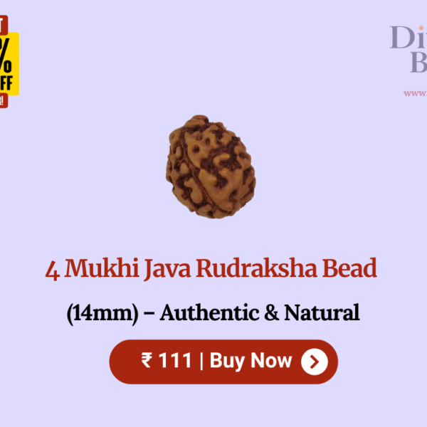 4 Mukhi Java Rudraksha Bead (14mm) – Authentic & Natural