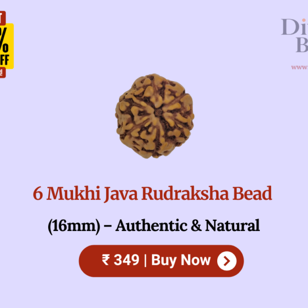 6 Mukhi Java Rudraksha Bead (16mm) – Authentic & Natural