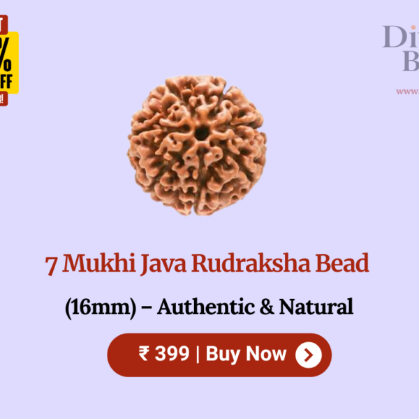 7 Mukhi Java Rudraksha Bead (16mm) – Authentic & Natural