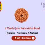 8 Mukhi Java Rudraksha Bead (16mm) – Authentic & Natural