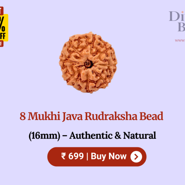 8 Mukhi Java Rudraksha Bead (16mm) – Authentic & Natural