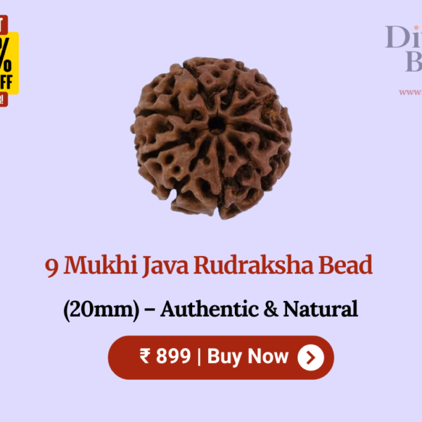 9 Mukhi Java Rudraksha Bead (20mm) – Authentic & Natural
