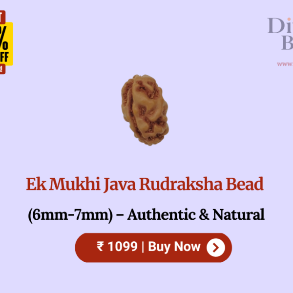 1 (Ek) Mukhi Java Rudraksha Bead (6mm-7mm) – Authentic & Natural