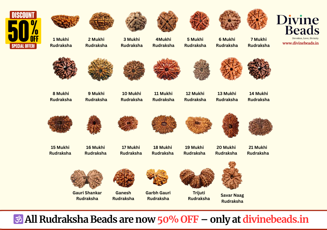 Divine Beads – Official Store for Original Rudraksha & Malas