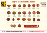 11 Mukhi Java Rudraksha Bead (20mm) – Authentic & Natural - Image 2